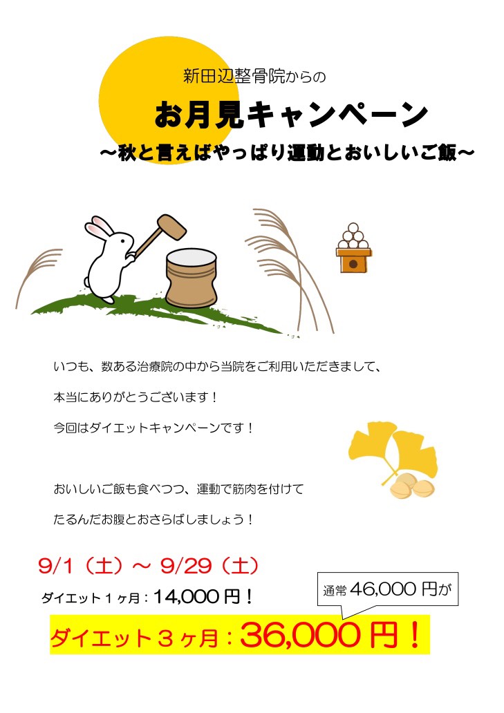 お月見キャンペーン(EMS)