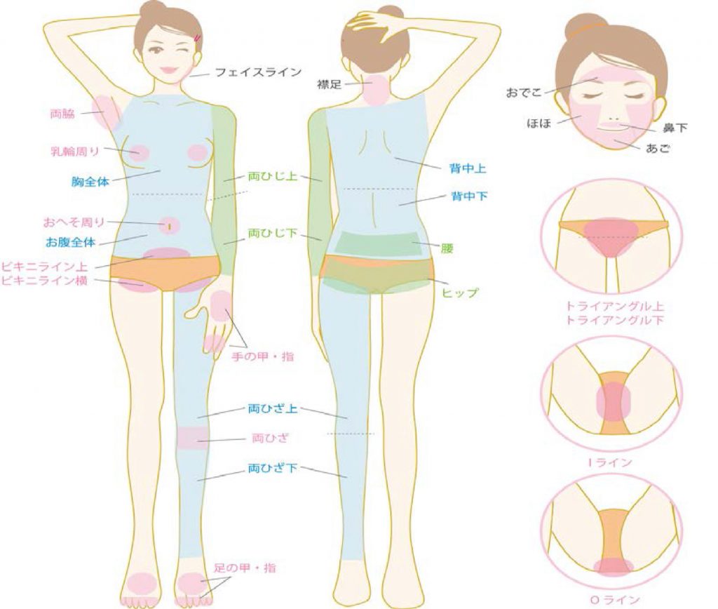 女性美肌除毛・減毛
