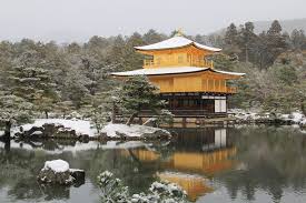初雪【痛みの予防】